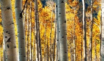 Seeking Hope Outside of Ourselves