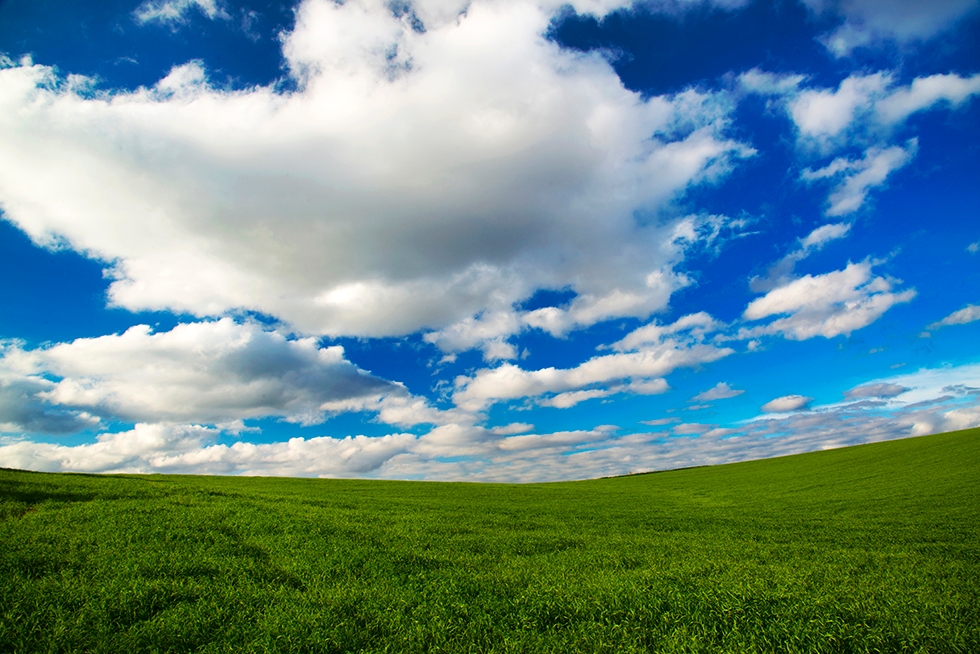 White fluffy clouds float over green grass and feels hopeful.