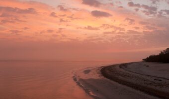 Caring For Loved Ones With Cancer